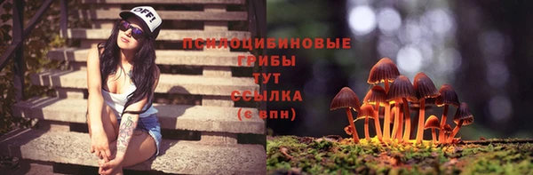 амф Дрезна
