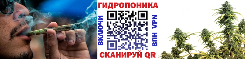 Бошки марихуана OG Kush Тулун